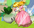 Vegetable - SmashWiki, the Super Smash Bros. wiki